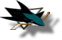 San Jose   Sharks 501498