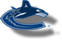 Vancouver  Canucks 753771